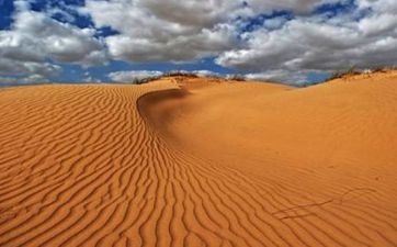 既会挣钱也是暖男疼老婆的属相