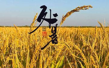 对姐弟恋很神往的属相男