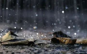 最不能变节的三大属相 杀伐决断眼里容不得沙子