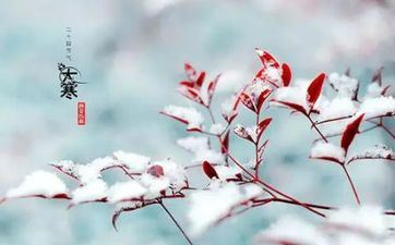 深藏不露的四大属相 深藏不露的属相是哪个