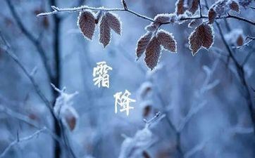 想要共同前进 常常和恋人一同学习的属相