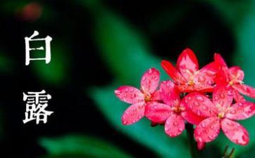 总不说我喜欢你，但能用举动证明的属相男