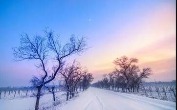 进化！这四大属相与曾经天壤之别