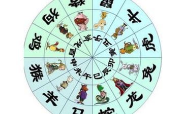 2026年财气最好的属相有哪些