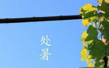 牛与牛婚配好不好   婚姻生活美好吗