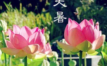 大暑:12属相怎样调度才旺运 大暑:12属相怎样调度才旺运