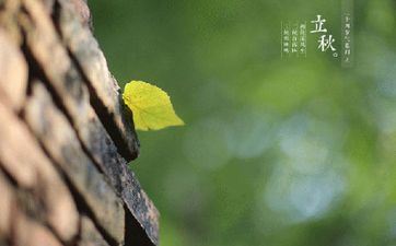 交际很厉害的属相女 情商高油滑的属相女