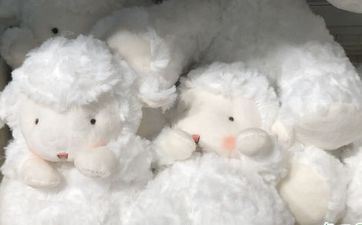 冲太岁是什么意思属羊冲太岁怎么化解 冲太岁是什么意思属羊冲太岁怎么化解