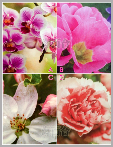 你朋友能带给你什么？