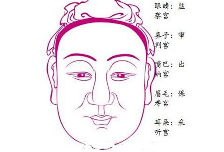 什么面相易发明奇观