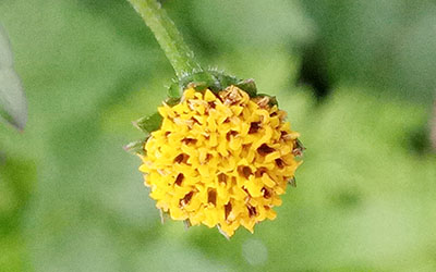 属兔天蝎座2018年运势