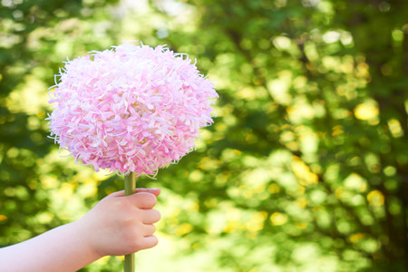 狂月本周星座运势（2017.7.24-7.30）