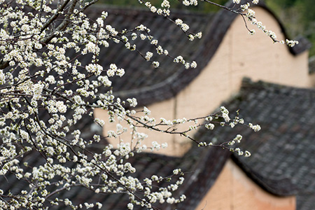 详解八字傍边的桃花