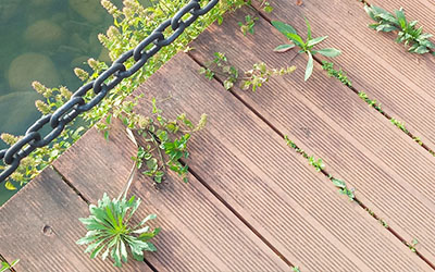 没有财气线是否就代表着自己终身无财