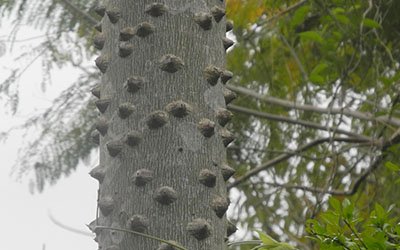 八字有财库就必定能发财吗