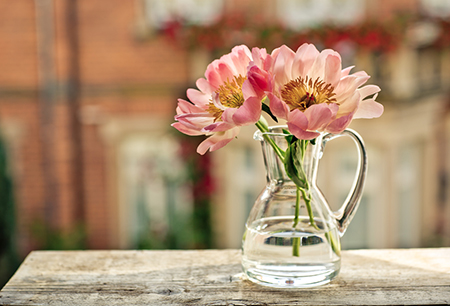 【诡魅塔罗】12星座3月水逆避险攻略