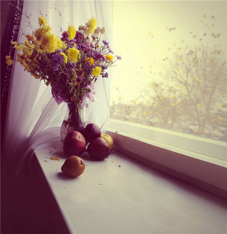 十二星座周运势