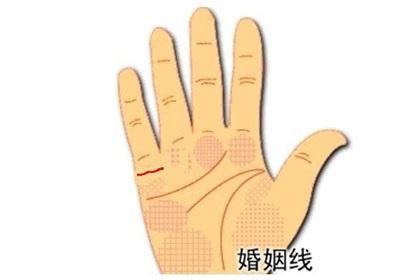 手相有这些特征的女性，成婚都不会太早