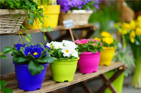 撩人的高手星座