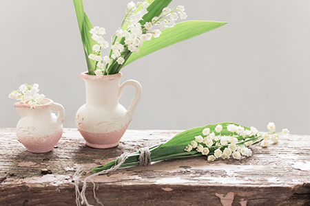 8月给12星座的一句话,看完有好运!