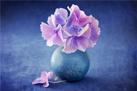 婚后最节约的3个属相女