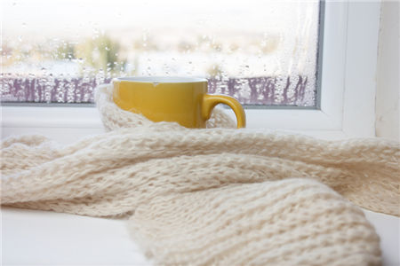 爱屋及乌的两个属相女