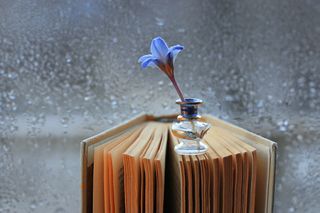 女性孤单终老的手相