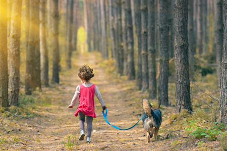 范姓涵义好的姓名大全