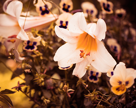 2021年3月23日今天凶时查询