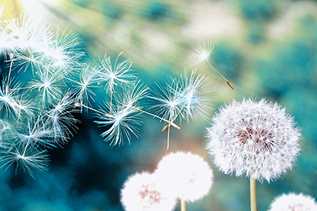 苏珊米勒一周星座运势11.30-12.6