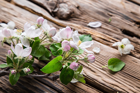 2021年4月7日今天凶时查询