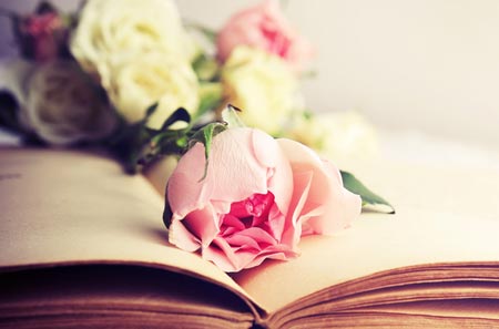 属猴人2021年走运色