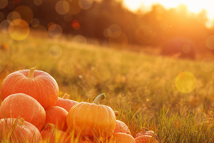 童子煞的害处和化解