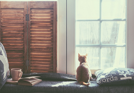 2020年6月26日今天财神方位查询