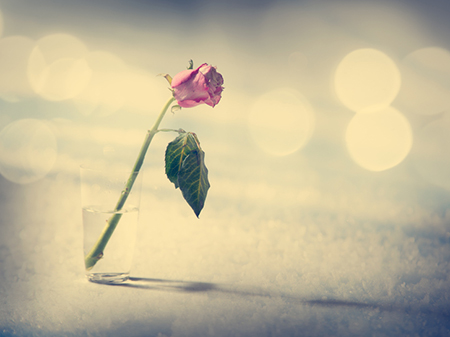 2020年8月23日今天凶时查询