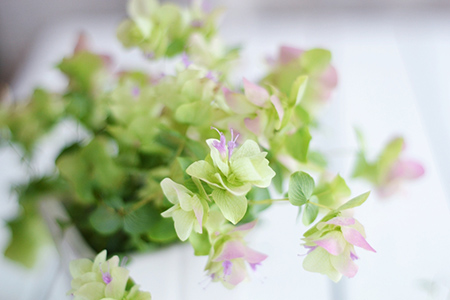 张鑫龙今天属相运势2020.7.27