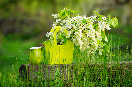 巨蟹座2021年必遭劫数