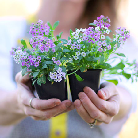 2020年10月10日今天财神方位查询