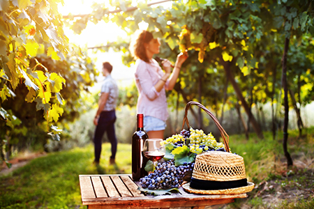 12属相9月哪几天运势会超级衰