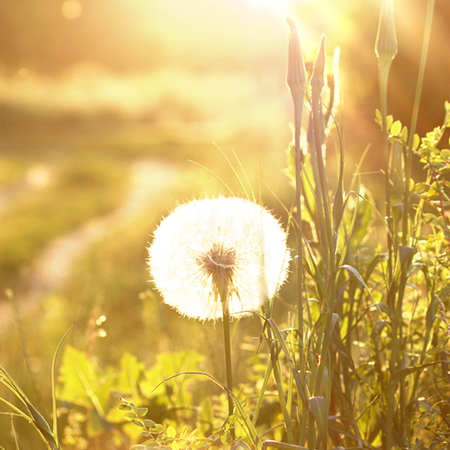 2020年12月11日今天凶时查询