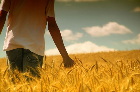 诡魅塔罗今天运势9.13