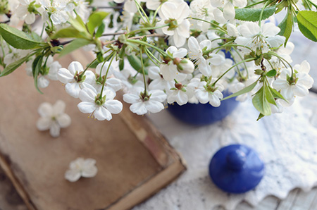 2021年3月25日今天财神方位查询