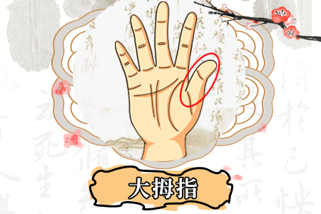 女性手相财富线-大拇指