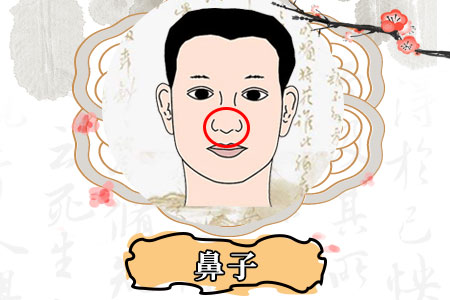 哪些面相标志射中有财-鼻子