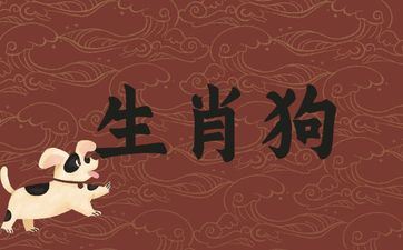 简单被属相狗女招引的属相男