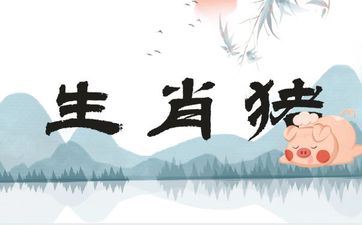 属相猪2025年完全转运