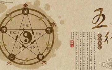 2002年属马人五行缺什么