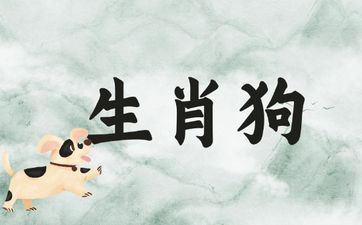 属相狗2025年能过生日吗