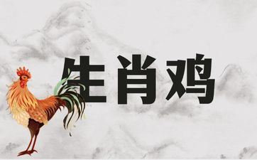 属相鸡人终身正缘是哪个属相