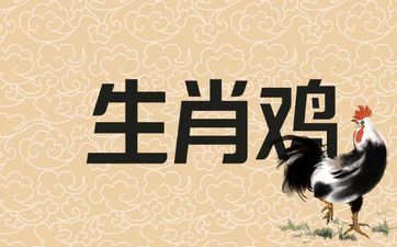 1969年属相鸡男未来十年运势